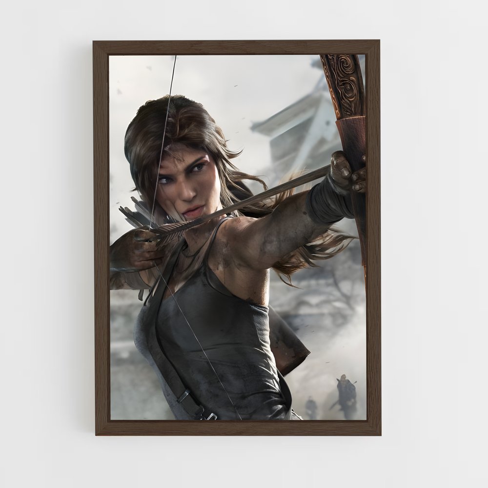 Poster Tomb Raider Adventure (vue 5)